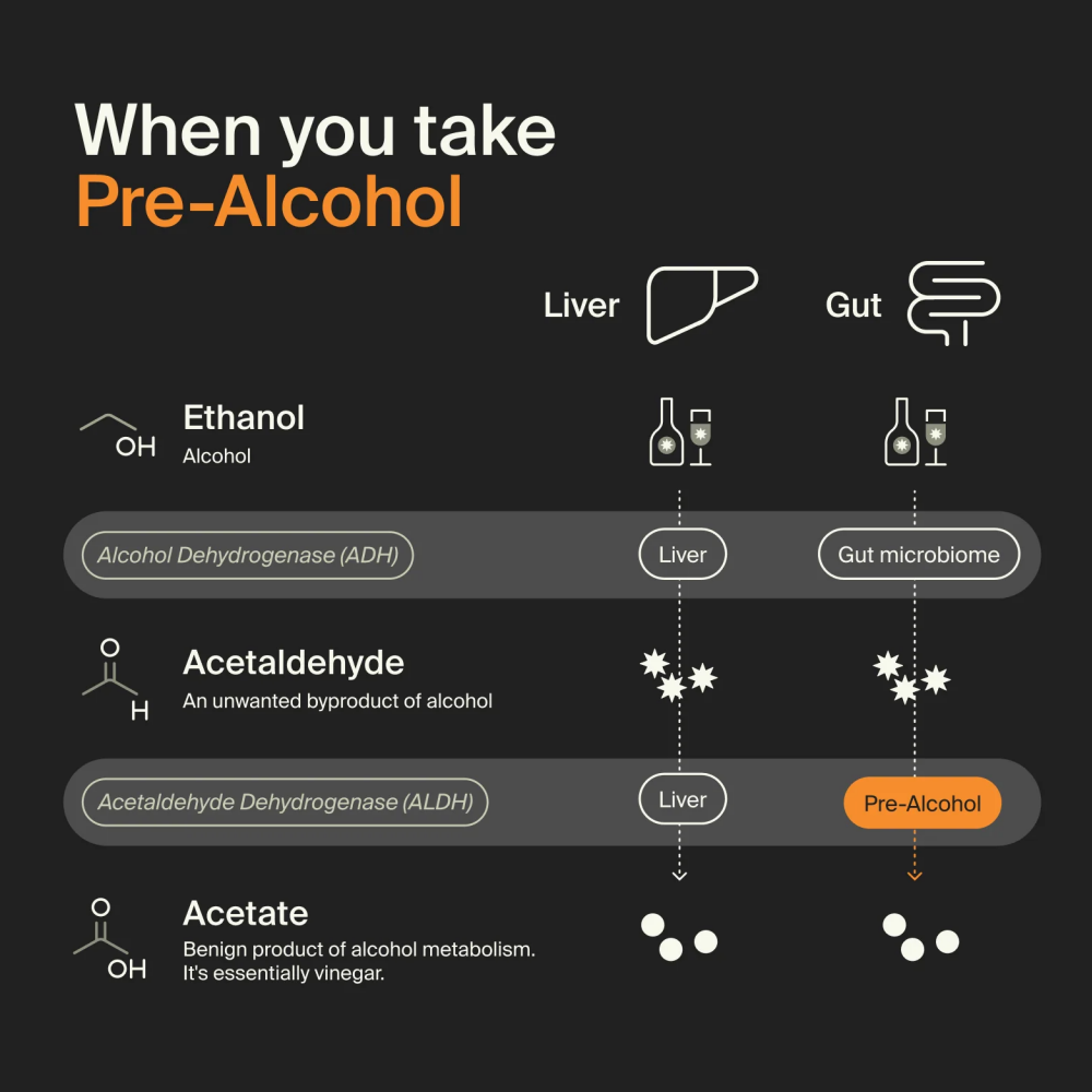 ZBiotics — Feel Better After Drinking, Wake Up Refreshed, Science-Backed, Patented Probiotic for Easier Mornings, Travel-Friendly, 6-Pack of 0.5 Fl Oz Bottles